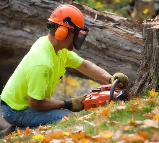 tree services Walker Valley